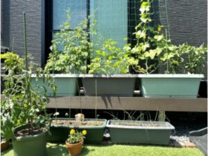 外の植木について移動は必要か?